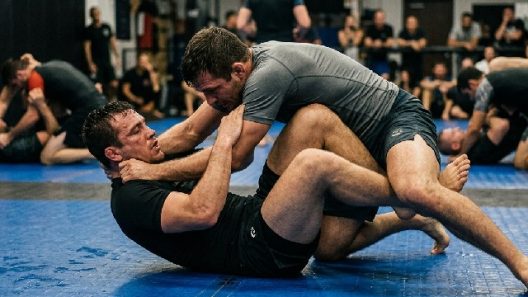 disciplines Grappling