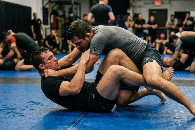 disciplines Grappling
